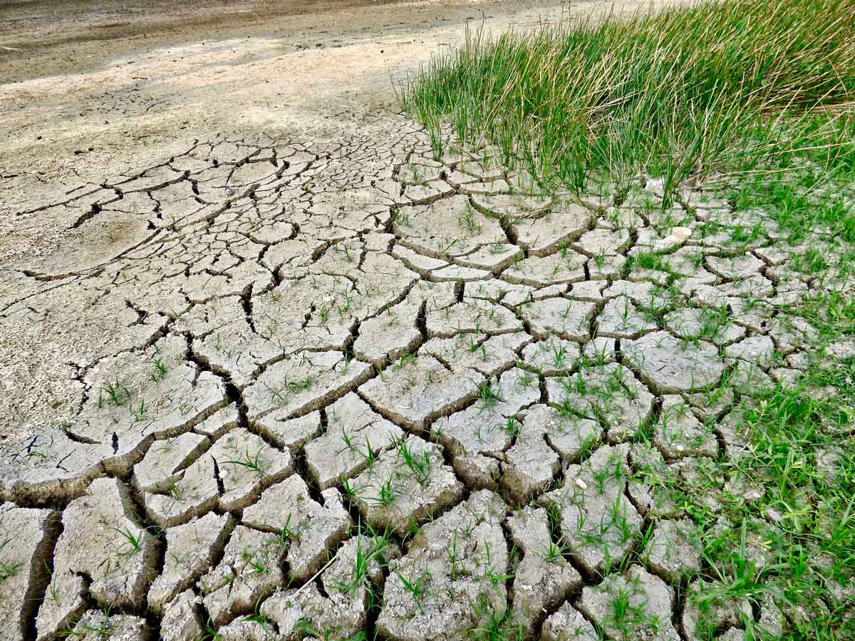 Lucha cambio climático