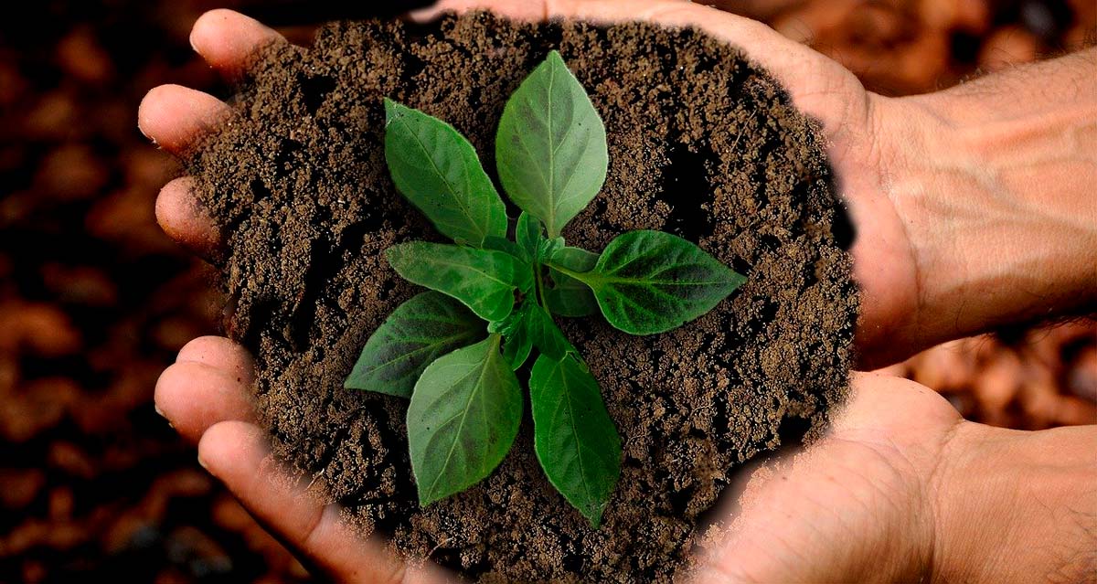 objetivos cuidado medioambiente