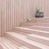 VISENDUM Albaricoque liso Vivienda privada VISENDUM Albaricoque liso Vivienda privada