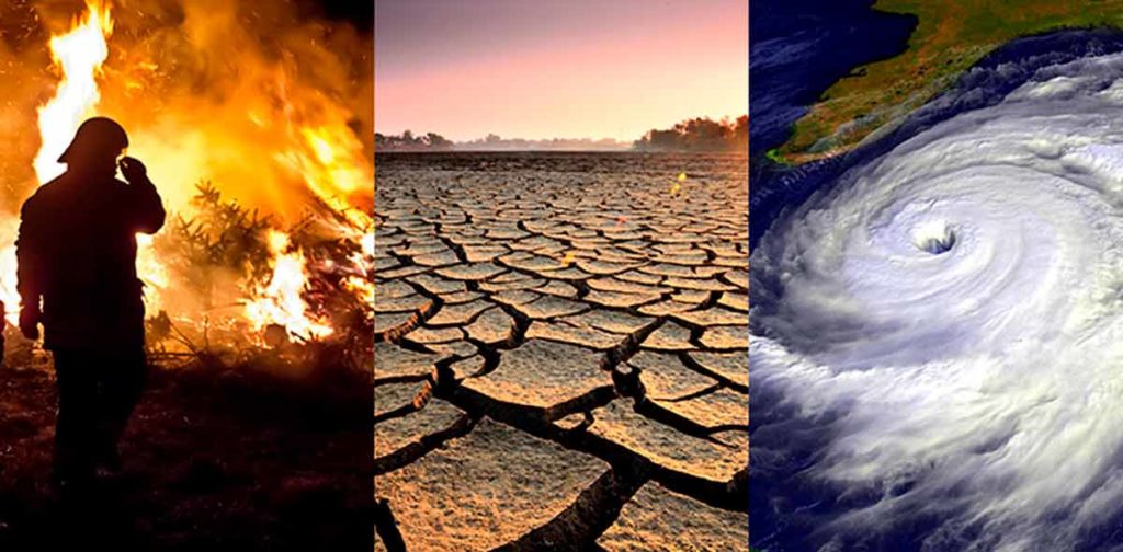 Objetivo 13: Acción por el clima