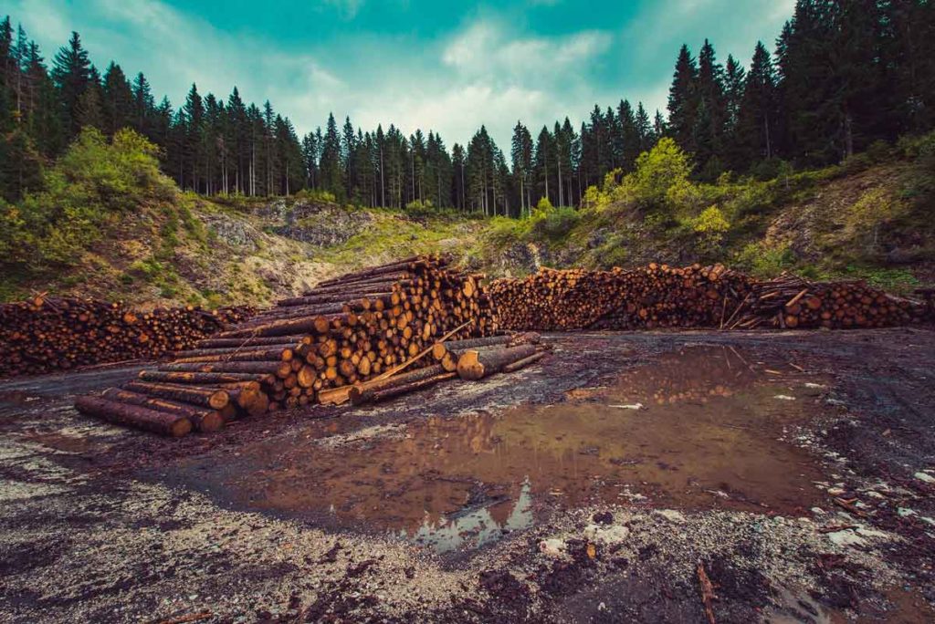 Cambio climático