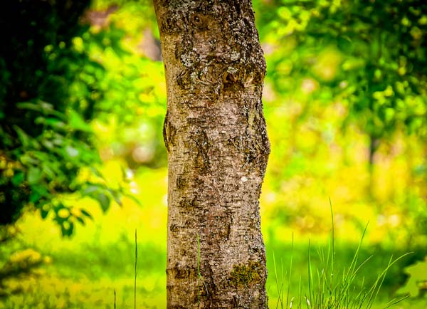 Foto-2 Naturaleza