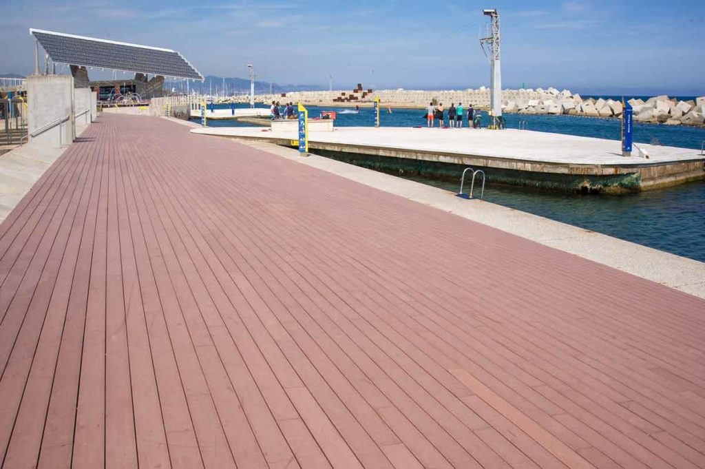 Vida Submarina