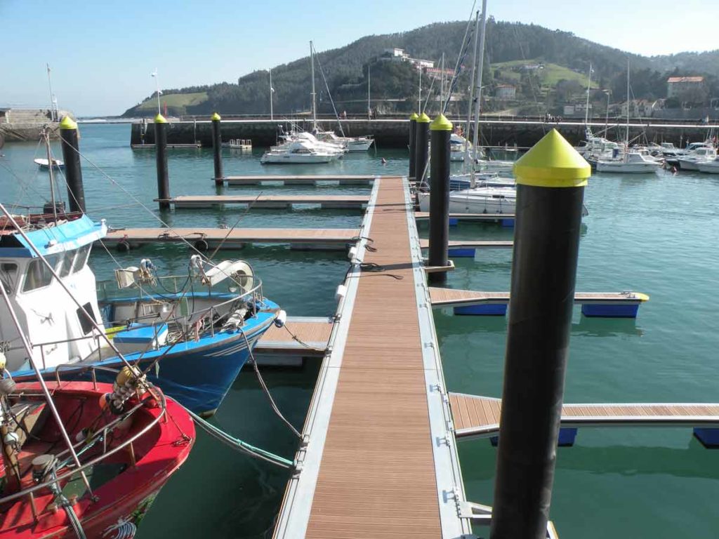 Vida Submarina