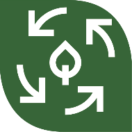ciclo de vida